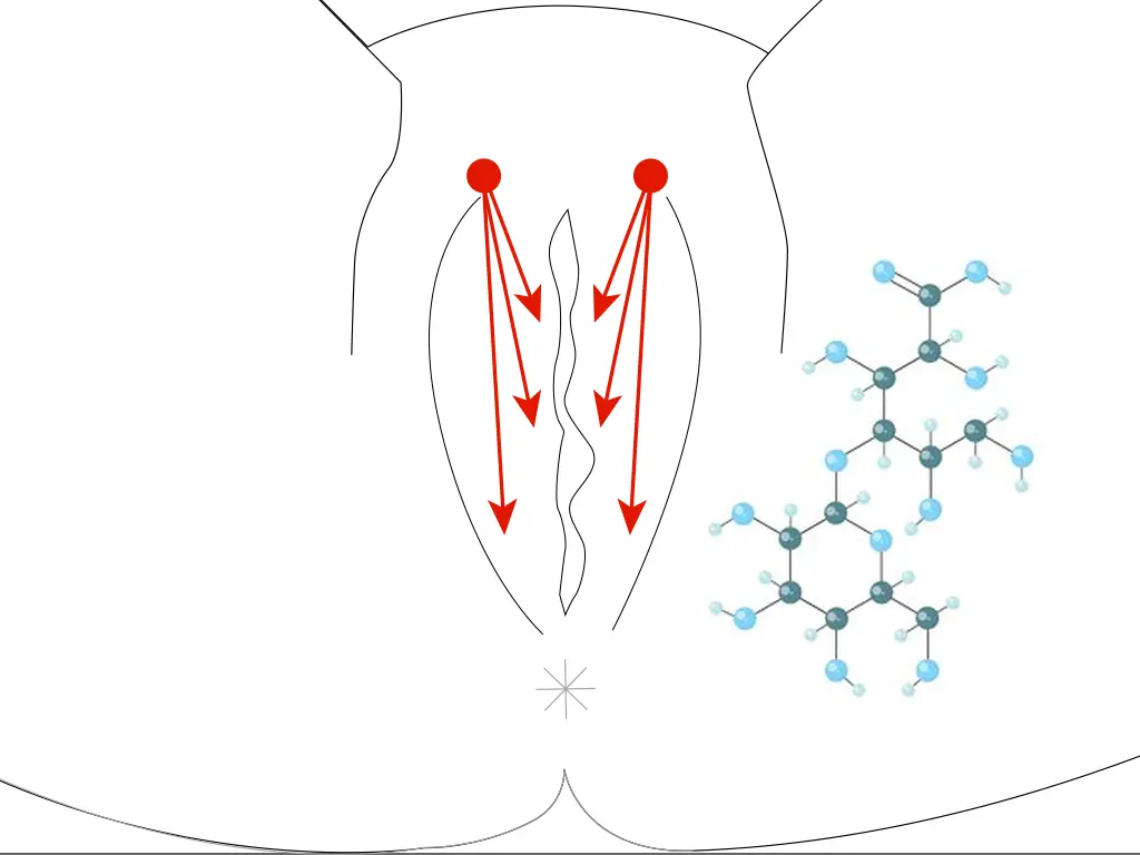 Rejuvenecimiento de Labios Mayores con Relleno Híbrido