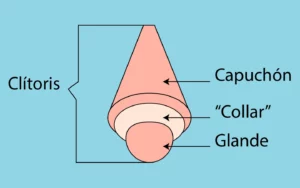 Collar de clítoris